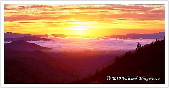 450735  Sunrise along Newfound Gap Road